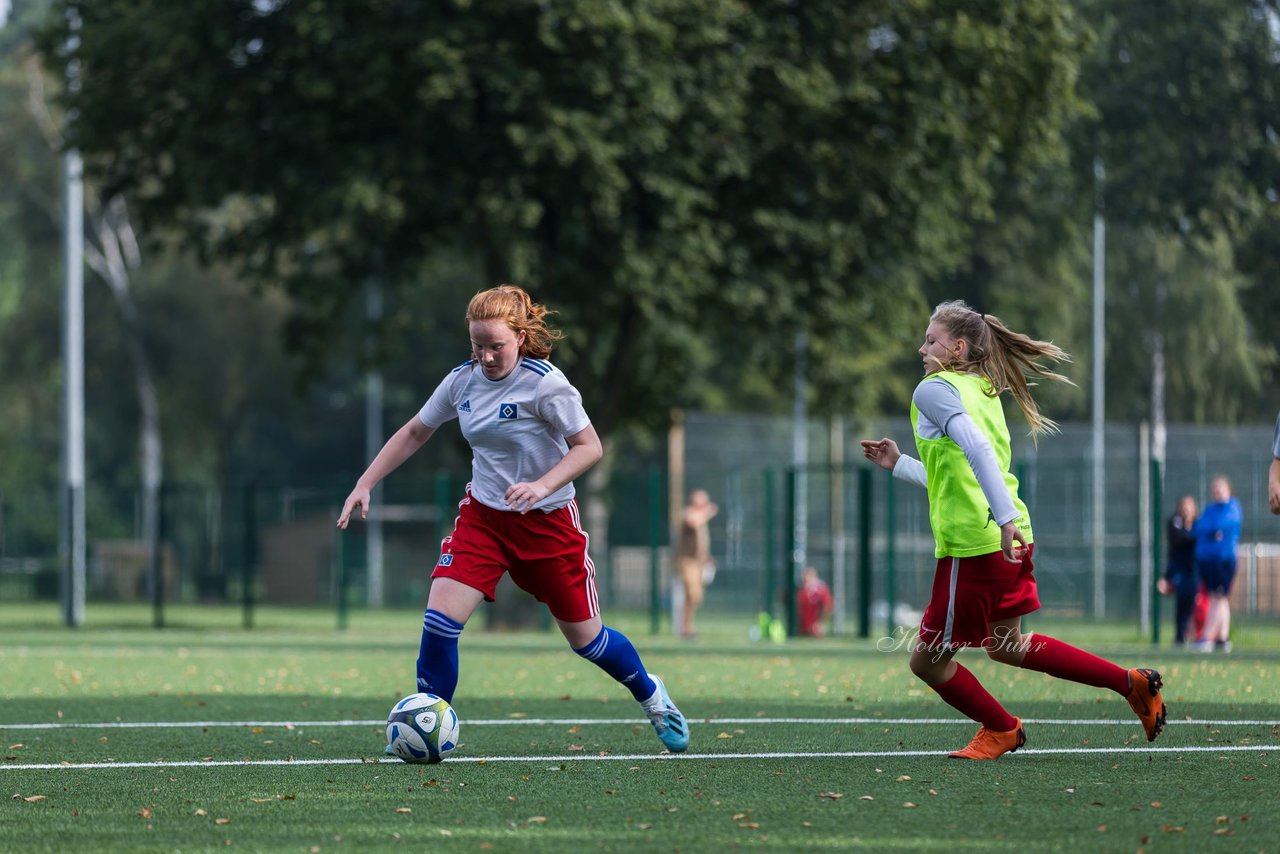 Bild 315 - C-Juniorinnen HSV - Walddoerfer : Ergebnis: 9:1